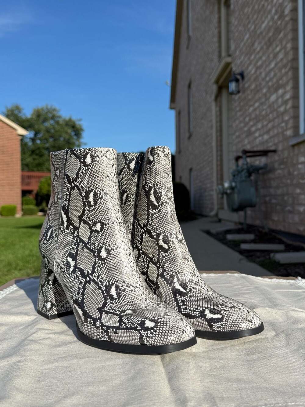 Madden Girl Mingleee Snake Print Block Heel Ankle Booties Size 8M